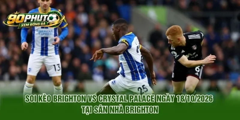 Soi Kèo Brighton Vs Crystal Palace Ngày 18/10/2026 tại sân nhà Brighton